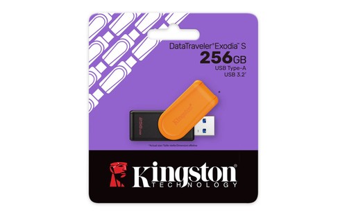 Kingston 256 datatraveler - gb,