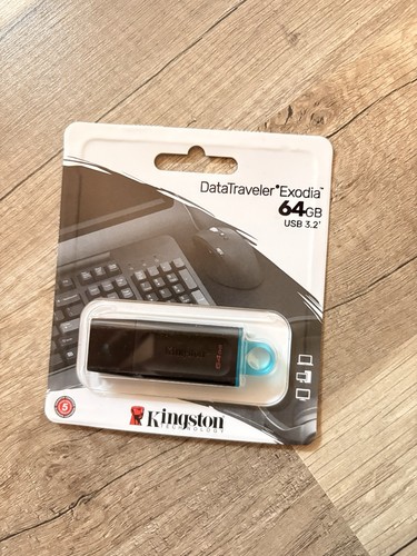 Kingston datatraveler - x,