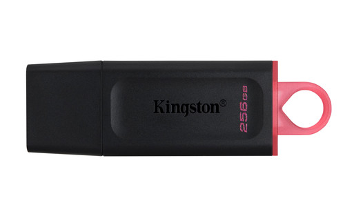Kingston 256 datatraveler - kingston, gb